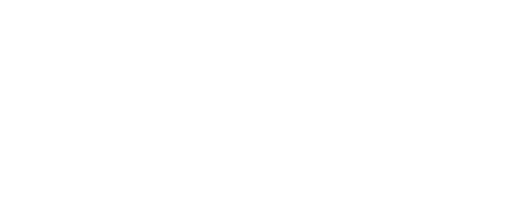 Grupo Audinfor